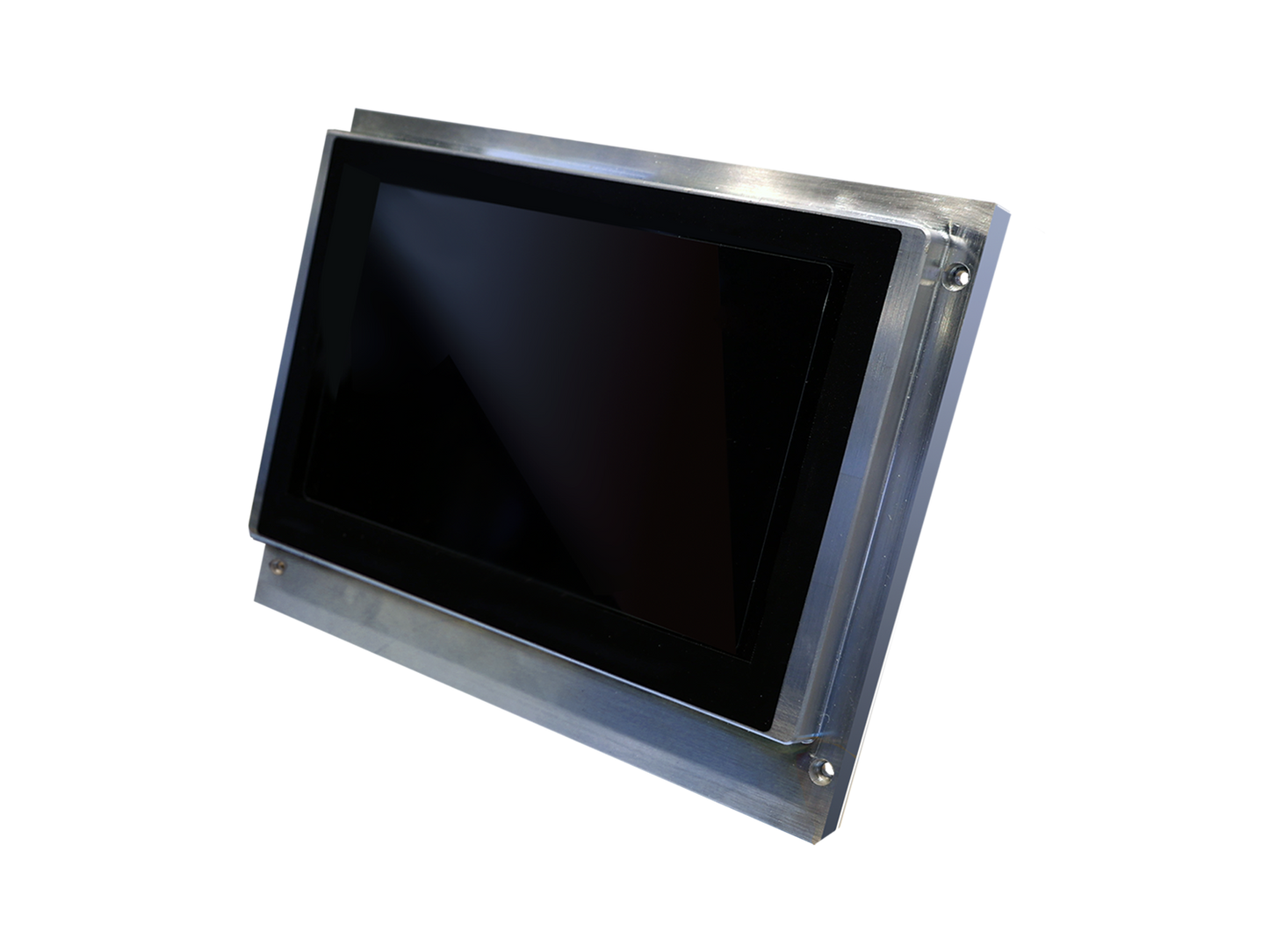 9.3" 4K Monochrome LCD for XiP